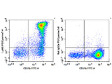 PE/Cyanine7 Anti-Mouse Ly6G Antibody[1A8]