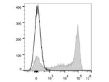 Elab Fluor® 647 Anti-Mouse Ly6G Antibody[1A8]