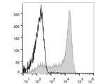 Elab Fluor® Violet 450 Anti-Mouse Ly6G Antibody[1A8]