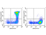 PE/Cyanine5.5 Anti-Mouse Ly6G Antibody[1A8]