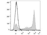 Elab Fluor® 647 Anti-Mouse Ly6G Antibody[1A8]