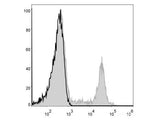 PE Anti-Human CD8a Antibody[OKT-8]