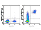 Purified Anti-Human HLA-DR Antibody[L243]