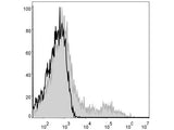 APC Anti-Human HLA-DR Antibody[L243]