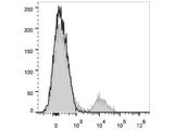 PE/Cyanine7 Anti-Human HLA-DR Antibody[L243]