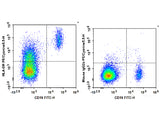 PE/Cyanine5.5 Anti-Human HLA-DR Antibody[L243]