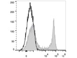 FITC Anti-Mouse CD45R/B220 Antibody[RA3.3A 1/6.1]