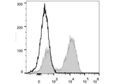 PerCP Anti-Mouse CD45R/B220 Antibody[RA3.3A 1/6.1]