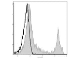 Elab Fluor® 488 Anti-Mouse CD45R/B220 Antibody[RA3.3A 1/6.1]