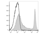 PE/Elab Fluor® 594 Anti-Mouse CD45R/B220 Antibody[RA3.3A 1/6.1]