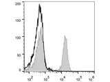 PE Anti-Mouse CD45R/B220 Antibody[RA3.3A 1/6.1]