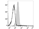 PE Anti-Mouse CD119 Antibody[GR-20]
