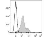 APC Anti-Mouse CD119 Antibody[GR-20]
