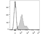 APC Anti-Mouse CD119 Antibody[GR-20]
