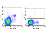 PE Anti-Mouse CD49b/pan-NK cells Antibody[DX5]
