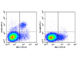 APC Anti-Mouse CD49b/pan-NK cells Antibody[DX5]
