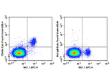 Elab Fluor® Violet 450 Anti-Mouse CD49b/pan-NK cells Antibody[DX5]