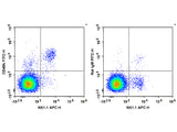 FITC Anti-Mouse CD49b/pan-NK cells Antibody[DX5]
