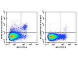 Elab Fluor® Red 780 Anti-Mouse CD49b/pan-NK cells Antibody[DX5]