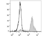 FITC Anti-Human CD11c Antibody[BU15]