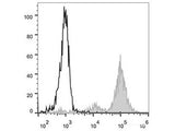 PE Anti-Human CD11c Antibody[BU15]
