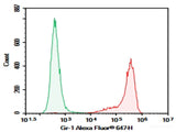 AF/LE Purified Anti-Mouse Ly-6G/Ly-6C (Gr-1) Antibody[RB6-8C5]
