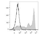 FITC Anti-Mouse Ly-6G/Ly-6C (Gr-1) Antibody[RB6-8C5]
