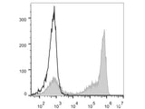 PE Anti-Mouse Ly-6G/Ly-6C (Gr-1) Antibody[RB6-8C5]