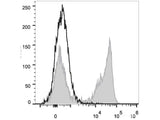 PerCP Anti-Mouse Ly-6G/Ly-6C (Gr-1) Antibody[RB6-8C5]
