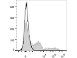 PE/Cyanine7 Anti-Mouse Ly-6G/Ly-6C (Gr-1) Antibody[RB6-8C5]