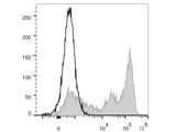 Elab Fluor® 488 Anti-Mouse Ly-6G/Ly-6C (Gr-1) Antibody[RB6-8C5]