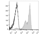 Elab Fluor® Violet 450 Anti-Mouse Ly-6G/Ly-6C (Gr-1) Antibody[RB6-8C5]