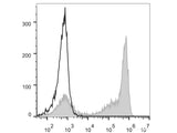 PE Anti-Mouse Ly-6G/Ly-6C (Gr-1) Antibody[RB6-8C5]