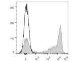 APC Anti-Mouse Ly-6G/Ly-6C (Gr-1) Antibody[RB6-8C5]