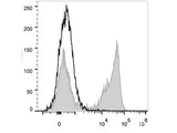 PerCP Anti-Mouse Ly-6G/Ly-6C (Gr-1) Antibody[RB6-8C5]