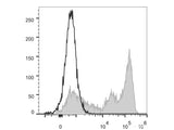 Elab Fluor® 488 Anti-Mouse Ly-6G/Ly-6C (Gr-1) Antibody[RB6-8C5]