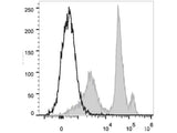 PE/Cyanine5.5 Anti-Mouse Ly6C Antibody[Monts 1]