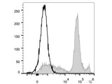 Elab Fluor® 488 Anti-Mouse Ly6C Antibody[Monts 1]