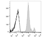 Elab Fluor® Violet 450 Anti-Mouse Ly6C Antibody[Monts 1]