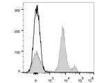 APC Anti-Mouse Ly6C Antibody[Monts 1]