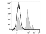 PerCP Anti-Mouse Ly6C Antibody[Monts 1]