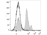 PE/Cyanine5 Anti-Mouse Ly6C Antibody[Monts 1]