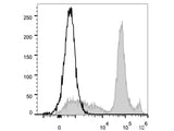 Elab Fluor® 488 Anti-Mouse Ly6C Antibody[Monts 1]