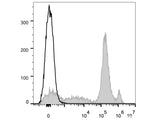 Elab Fluor® 647 Anti-Mouse Ly6C Antibody[Monts 1]