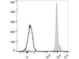 FITC Anti-Mouse CD45.2 Antibody[104.2]