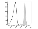 PE/Cyanine5 Anti-Mouse CD45.2 Antibody[104.2]