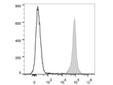 PE/Cyanine7 Anti-Mouse CD45.2 Antibody[104.2]