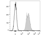 APC Anti-Mouse CD45.2 Antibody[104.2]