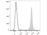 PE/Cyanine7 Anti-Mouse CD45.2 Antibody[104.2]