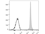 Elab Fluor® 488 Anti-Mouse CD45.2 Antibody[104.2]